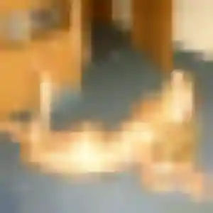 Photo de Isaure à Agnos (41 ans) - plan cul sans inscription