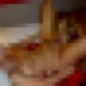 Sexy Adele, 28 ans à Aigrefeuille-d'Aunis - voir sa photo