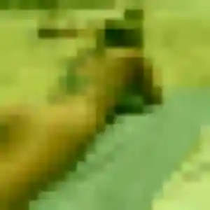 Photo privée de Sofia, 32 ans à Aiserey - plan discret