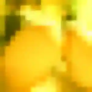 Photo perso de Alienor, 32 ans à Algrange - rencontre sans lendemain