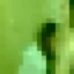 Marie-Jose, 25 ans, disponible à Alvignac pour une rencontre coquine