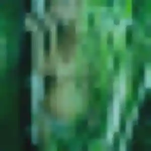 Photo de Aisha à Ambérieux (30 ans) - plan cul anonyme