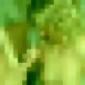 Photo de Magalie à Amfreville-la-Mi-Voie (35 ans) - plan cul anonyme