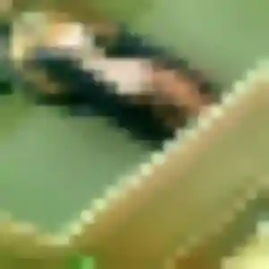 Photo exclusive de Adeline, 34 ans à Amiens - rencontre coquine