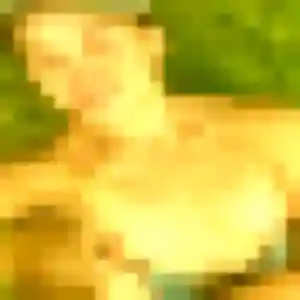 Sexy Zephyrine, 33 ans à Ance Féas - découvrir son profil