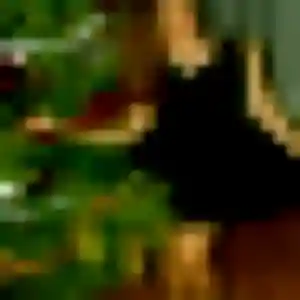 Leila, femme de 24 ans cherche plan cul à Andon