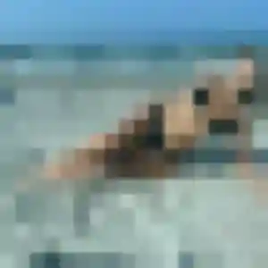 Zina, 22 ans, en ligne à Apremont pour une rencontre coquine