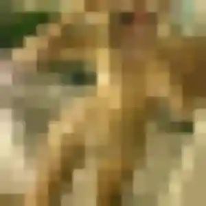 Photo de Marion à Argagnon (36 ans) - plan cul discret