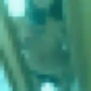 Photo perso de Iseult, 36 ans à Arlay - plan discret
