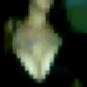 Profil de Yasmine à Arnières-sur-Iton (22 ans) - plan cul gratuit