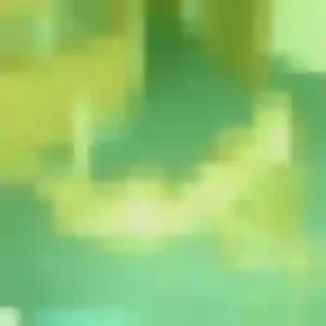 Corinne, 32 ans, connectée à Arros-de-Nay pour une rencontre coquine
