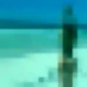 Contacte Dina, 40 ans à Arthon en t'inscrivant