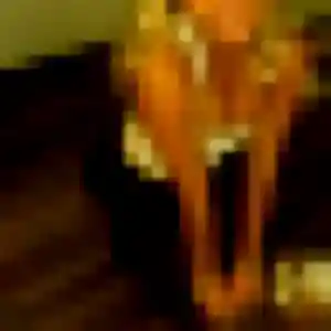 Profil de Marie-Pierre à Arzon (36 ans) - plan cul discret