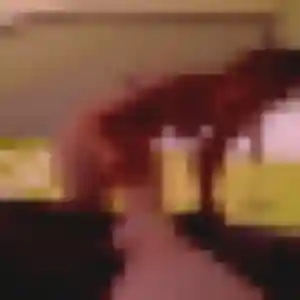 Photo exclusive de Honorine, 28 ans à Assieu - plan discret