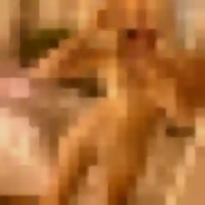 Melodie, 33 ans, dispo pour plan cul à Aubervilliers