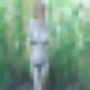 Profil de Constance à Aulnat (41 ans) - plan cul anonyme