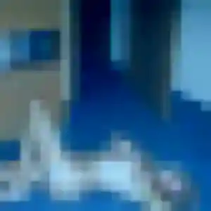 Sixtine, 24 ans, en ligne à Aureilhan pour une rencontre coquine