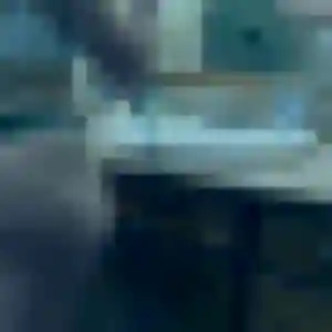 Pauline, 23 ans, en ligne à Auvers-Saint-Georges pour une rencontre coquine