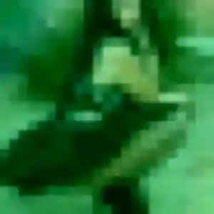 Rejoins Sofia, 30 ans à Auvers-sur-Oise gratuitement