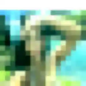 Sexy Nadine, 39 ans à Auzeville-Tolosane - voir sa photo