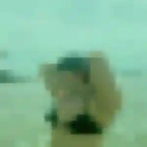 Daphne, 38 ans, dispo pour plan cul à Avenay-Val-d'Or
