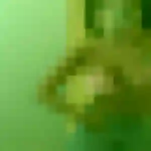 Julie de Avesnes-le-Comte, 39 ans - plan cul discret
