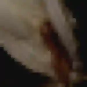 Marie-Ange (36 ans) à Avignonet-Lauragais attend une rencontre aujourd'hui