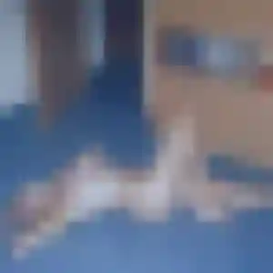 Augustine, 25 ans, en ligne à Avrechy pour une rencontre coquine