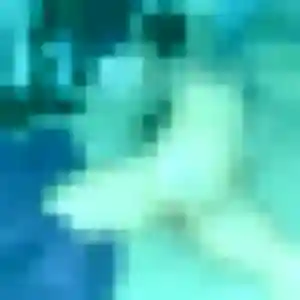 Photo de Claire à Bailleul (27 ans) - plan cul anonyme