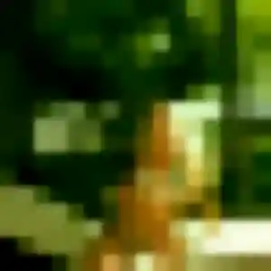 Profil de Tessa à Bailleul (29 ans) - plan cul anonyme