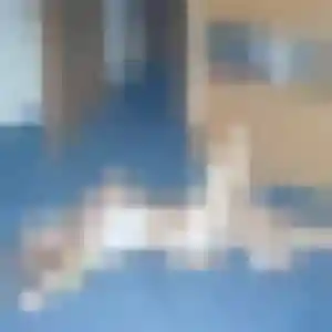 Photo de Brigitte à Banville (26 ans) - plan cul gratuit