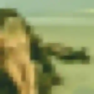 Elodie de Baudreix, 44 ans - plan cul sans lendemain