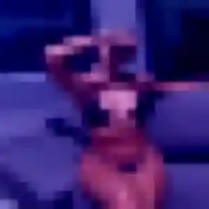 Photo sexy de Brune, 25 ans à Bazoges-en-Paillers - plan discret