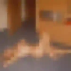 Meriem de Beaujeu-Saint-Vallier-Pierrejux-et-Quitteur, 35 ans - plan cul discret