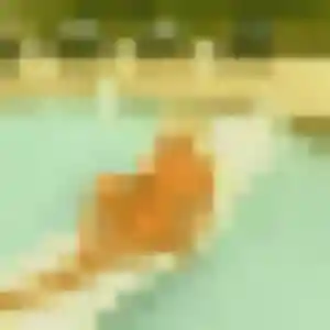 Muriel, 26 ans, dispo pour plan cul à Beaune