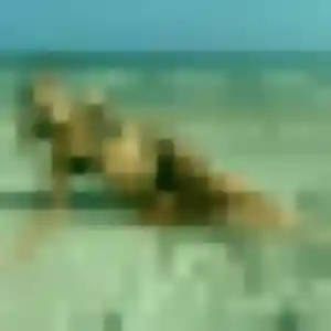 Zineb, femme de 38 ans cherche plan cul à Beaupuy