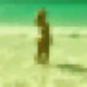Profil de Anne à Bégaar (34 ans) - plan cul anonyme