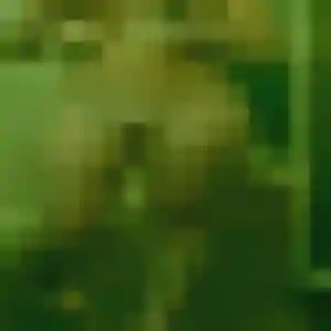 Rejoins Alicia, 27 ans à Benais gratuitement