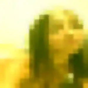 Contacte Janine, 28 ans à Bénaménil en privé