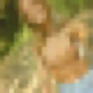 Bianca, 24 ans, disponible à Benney pour une rencontre coquine
