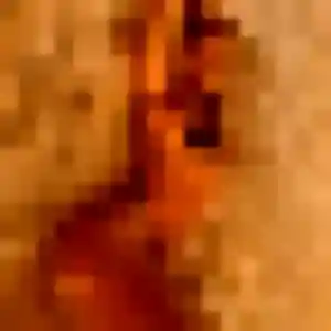 Photo de Gilberte à Berlaimont (41 ans) - plan cul gratuit