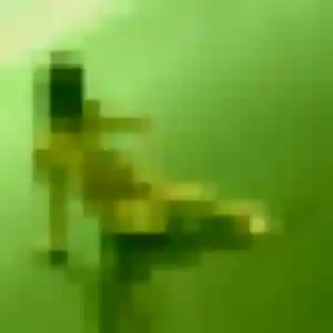 Romane, 25 ans, dispo pour plan cul à Bernay