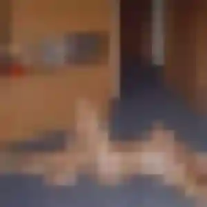 Domitille, 27 ans, dispo pour plan cul à Bernis