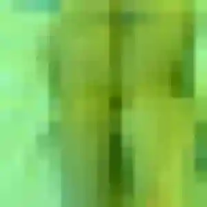 Photo de Marie-France à Bessan (44 ans) - plan cul discret