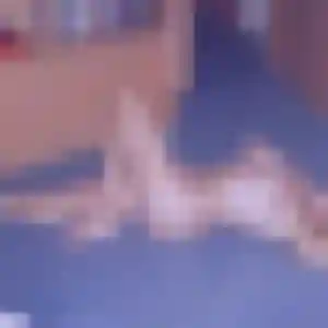 Photo exclusive de Christine, 35 ans à Bessines - rencontre coquine