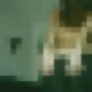 Idalina, 31 ans, en ligne à Beuzec-Cap-Sizun pour une rencontre coquine