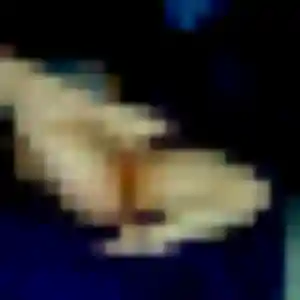 Photo de Margot à Beynat (44 ans) - plan cul discret