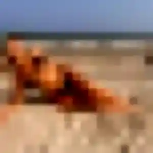 Wahiba, fille de 32 ans veut plan cul à Bezons