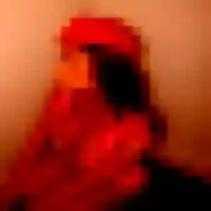 plan cul à Bidarray : photo de Aurore, 41 ans - inscription gratuite