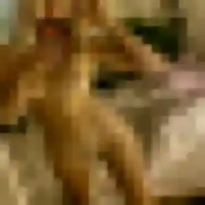 Photo de Elodie à Bois-Grenier (24 ans) - plan cul gratuit